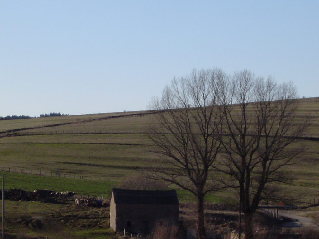 Le moulin et les champs alentour.
